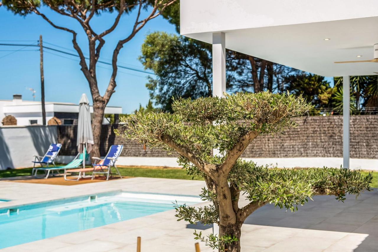 Casa Robert Villa Conil De La Frontera Eksteriør billede